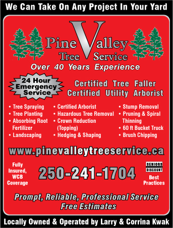 Pine Valley Tree Service