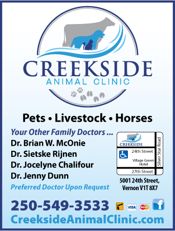 Creekside Animal Clinic