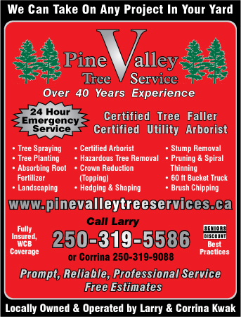 Pine Valley Tree Service