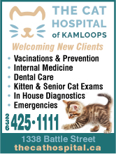 Cat Hospital Of Kamloops