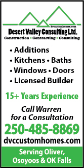 Desert Valley Consulting Ltd