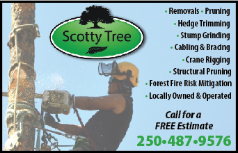Scotty Tree