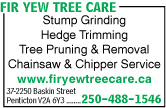 Fir Yew Tree Care