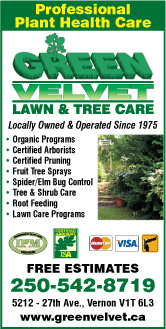 Green Velvet Lawn & Tree Care