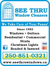 See Thru Window Cleaners Inc