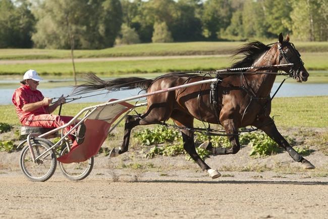 Co-owner Grant not messing with Bulldog Hanover's winning formula | iNFOnews | Thompson-Okanagan's News Source - Vimarsana News