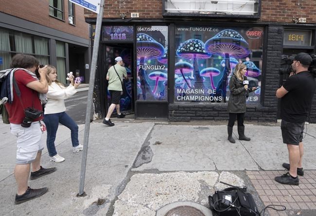 Montreal police raid illegal magic mushroom store on opening day, arrest four people | iNFOnews - Vimarsana News