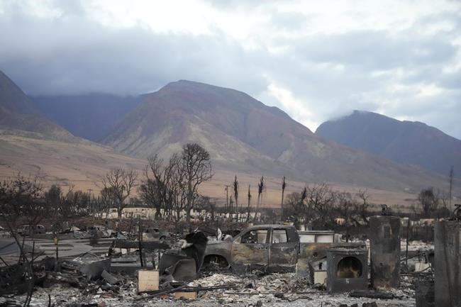 As flames swallowed Maui, survivors made harrowing escapes | iNFOnews | Thompson-Okanagan's News Source - Vimarsana News