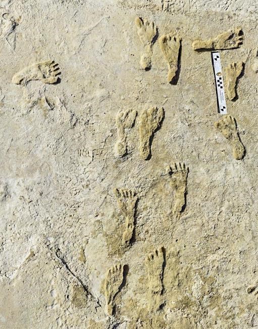 Further Evidence Points To Footprints In New Mexico Being The Oldest ...