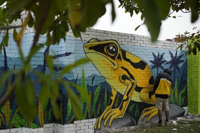 Environmental Delegates Gather In Colombia For A Conference On ...