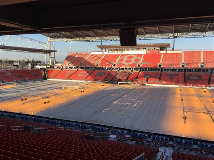 bmo field grass