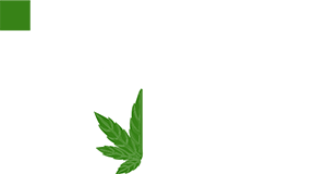 iN420 - Exploring BC's cannabis culture