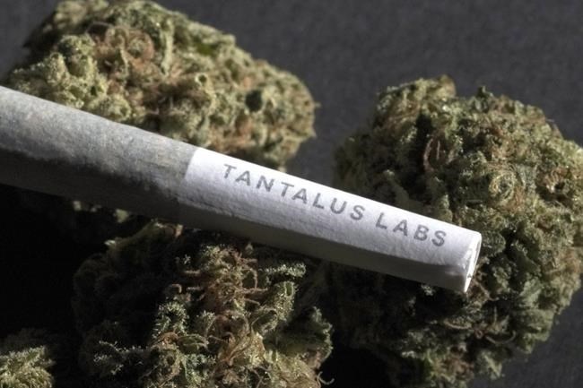 Cannabis company Atlantic Cultivation has acquired the insolvent Tantalus Labs brand.