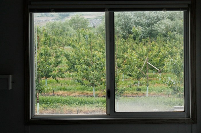 This photo shows the inside of a Kelowna-area home where a group of migrant workers live.