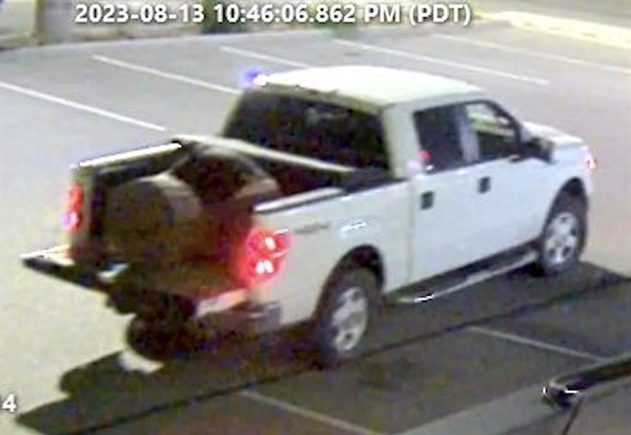Suspects wanted in connection to the theft of a grizzle bear statue were caught on surveillance video fleeing in a late model white Ford pickup truck.