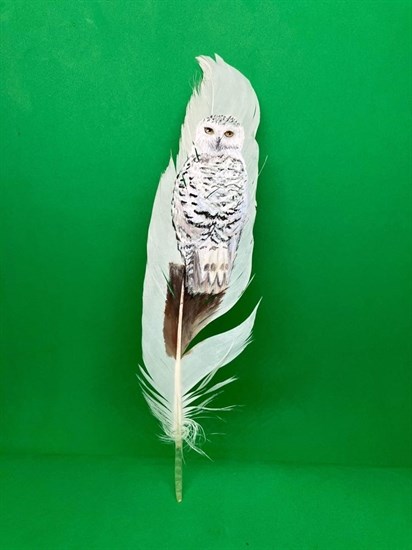 Owl feather artwork created by Rosemarie Stevenson. 