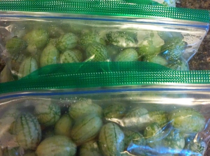 A Kamloops gardener grows and bags cucamelons to share with other residents.
