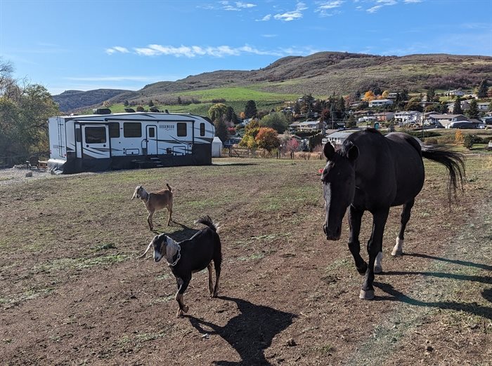 This photo shows an RV, horses and goats owned by Vernon resident Lee Watkins. 
