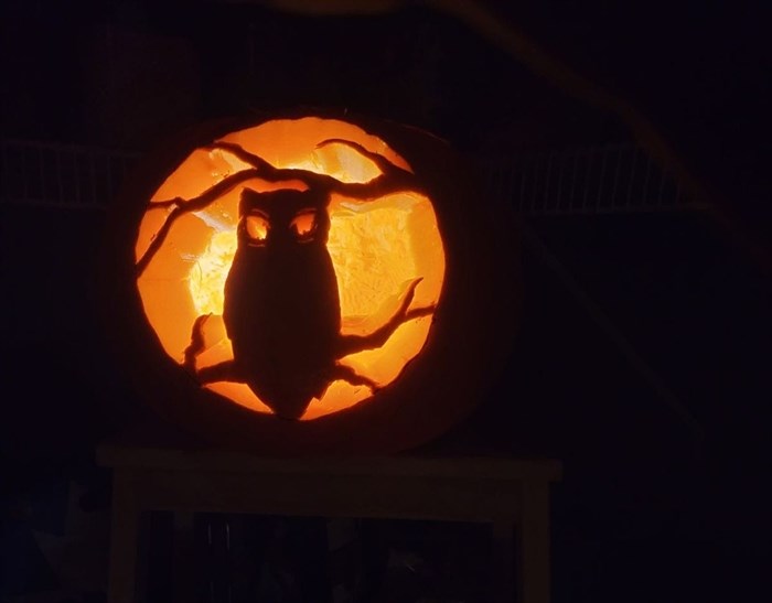 An owl perched on branches is carved into a Halloween pumpkin in Vernon. 