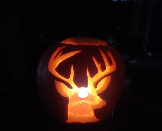 This jack-o'-lantern showing the outline of a stag can be seen glowing in Penticton. 