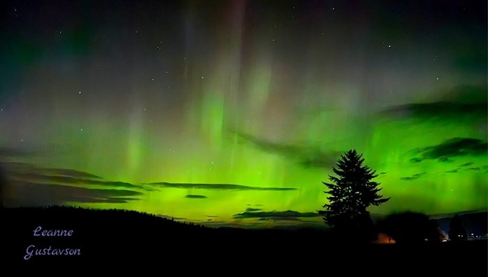 Green and gold aurora borealis are shown shimmering in skies over Armstrong. 