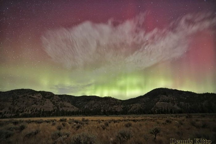 The Northern lights shimmer over the grasslands in the Kamloops area. 