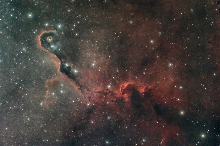 Imagen de Steve Tamboso de la Nebulosa Trompa de Elefante.