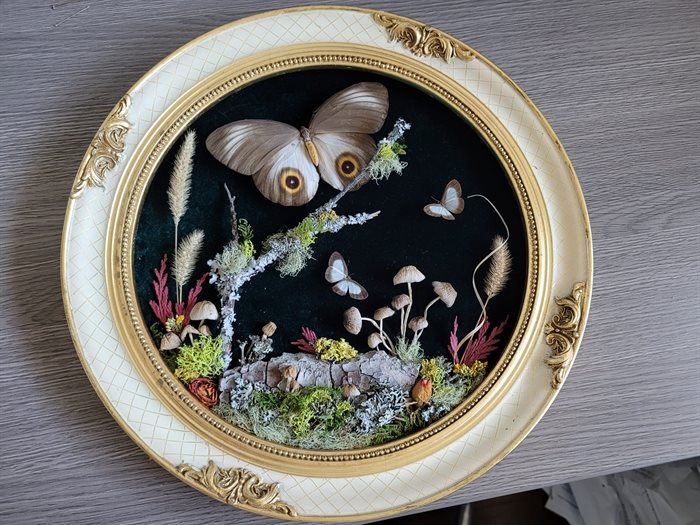 Mushrooms, moss and insects are seen in this art piece by Kamloops resident Kelsi Arvay. 