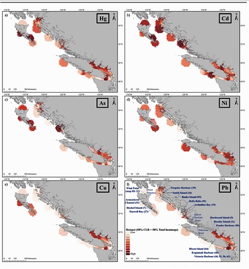 Maps of concentration hot spots (top left to bottom) for mercury (Hg), cadmium (Cd), arsenic (As), nickel (Ni), copper (Cu), and lead (Pb) from recent coastal sediment research.