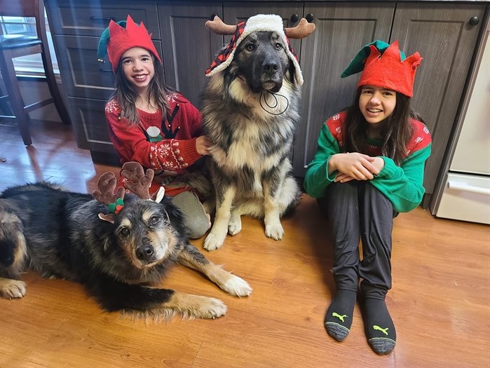 A reindeer, two elves and a moose are bringing Christmas spirit in Kamloops. 
