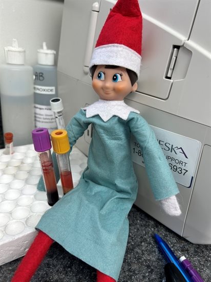 Sprinkles the shelf elf is part of the holiday tradition at Shuswap Veterinary Clinic. 