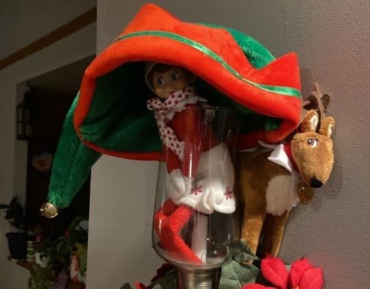 An Elf on the Shelf in Peachland. 