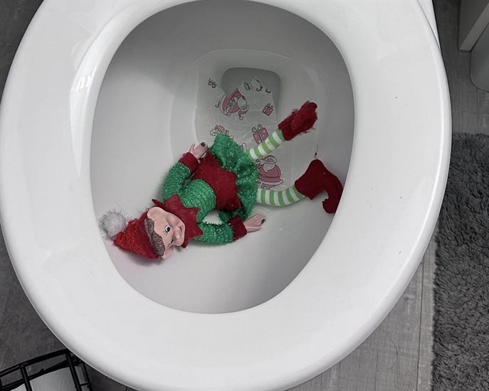 This elf wound up in the toilet after an apparent tousle with the family cat. 