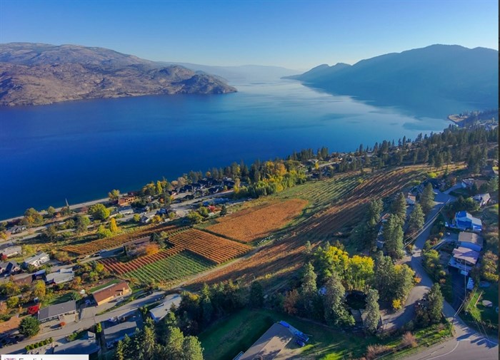 This is the view south from an almost 18-acre Peachland vineyard for sale for nearly $12 million.