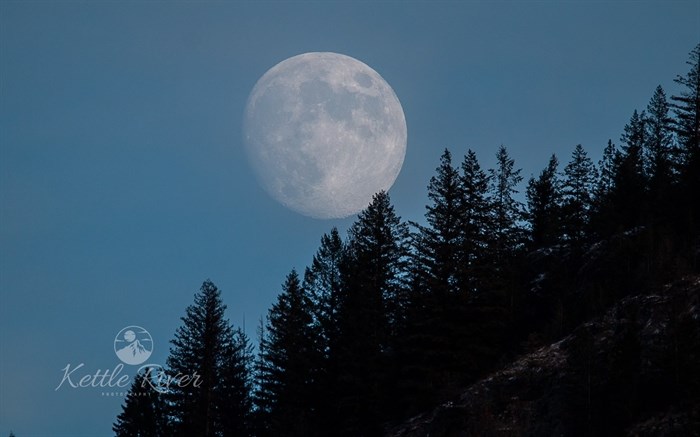 The Full Cold Moon was captured on camera in Grand Forks. 