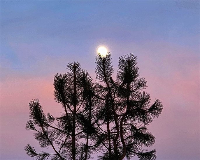 Full Cold moon seen over Kelowna. 