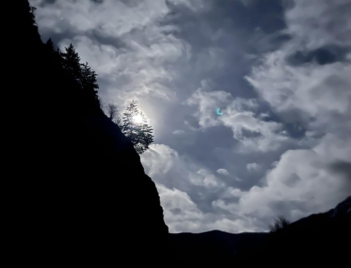 Lillooet resident Chandra Donison was able to catch a glimpse of the Cold moon through trees and clouds. 