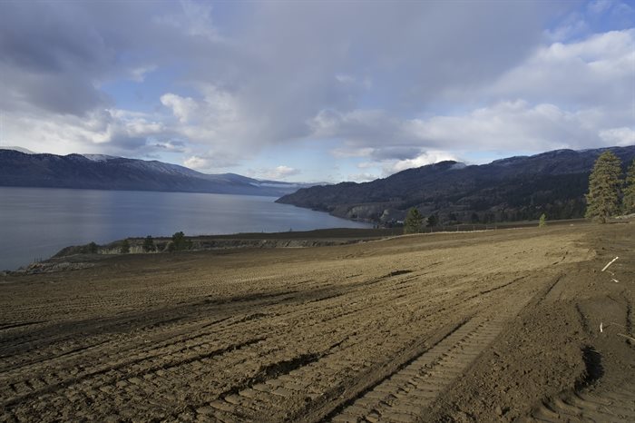 Twincon Enterprises excels in vineyard land-clearing, transforming the Okanagan Valley