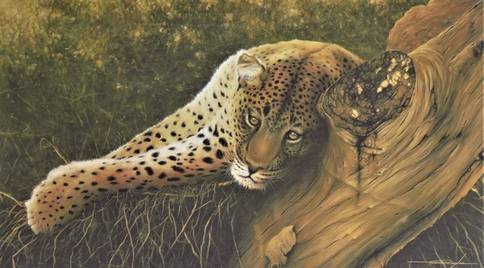 A painting of a cheetah by local Kelowna artist, Daniel Taylor.  