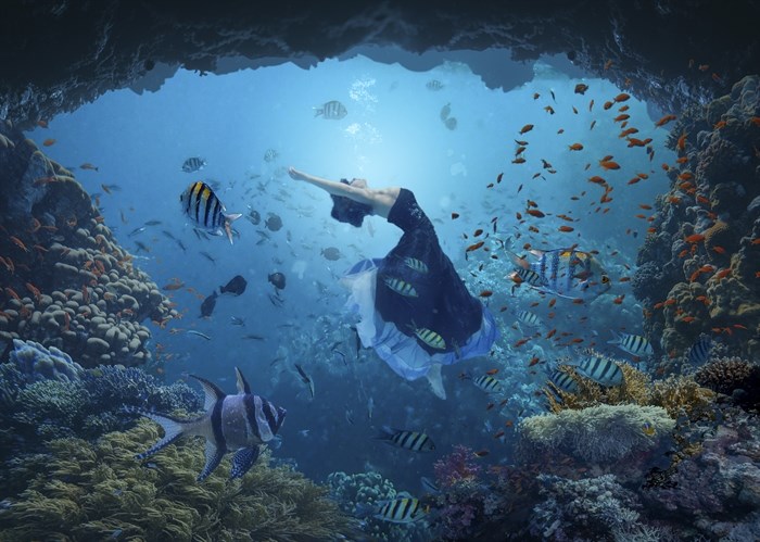 In this photo of swimmer Kate Liebe Kamloops photographer Bonnie Pryce added a composite under sea scene. 