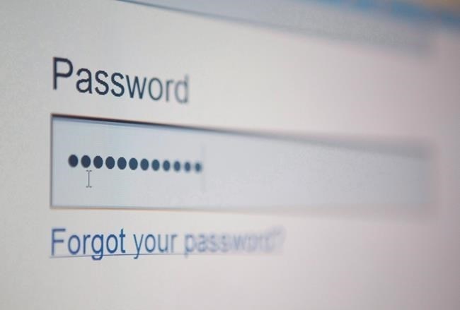 As the number of cyberattacks grows, more people are seeking out personal cyber insurance. A screen to enter a password to a website is shown in Ottawa on Thursday July 22, 2010.