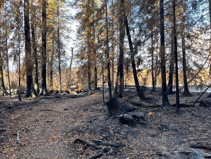 Tsútswecw Provincial Park in the Shuswap is pictured with fire damage from the Bush Creek East wildfire in 2023.