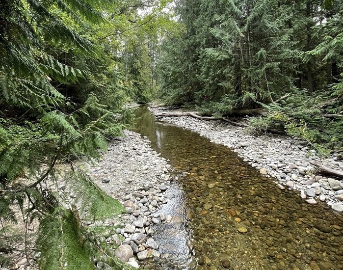 The Adams River is seen flowing through Tsútswecw Provincial Park near Scotch Creek in 2022.