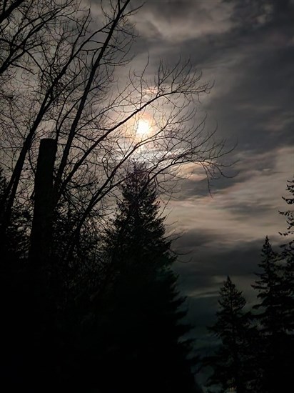 The full Snow moon shines brightly through a veil of cloud in the Shuswap. 