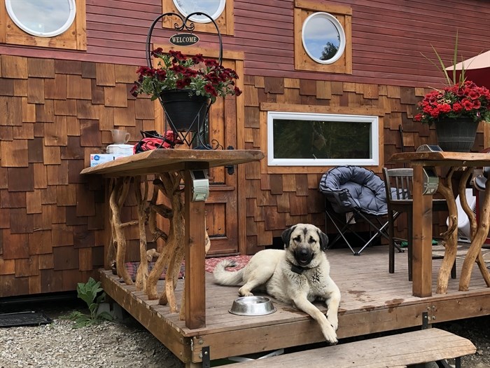 Ryan King's dog sits on the front porch of his house in Peachland. 