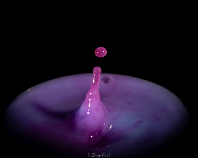 Purple liquid drops are seen up close. 