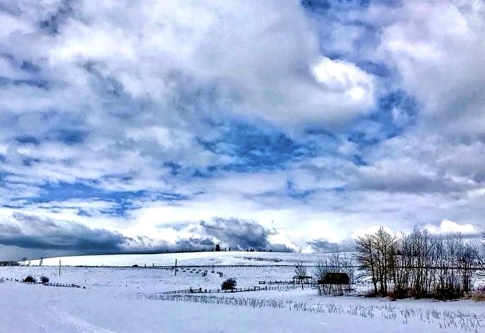 The landscape looks frozen in Barnhartvale in Kamloops. 