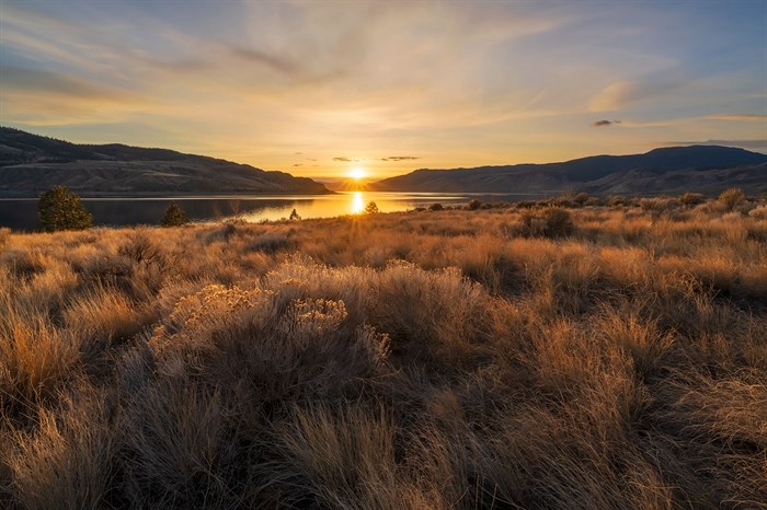 The grasslands in Kamloops are lit up in spring sunlight. 