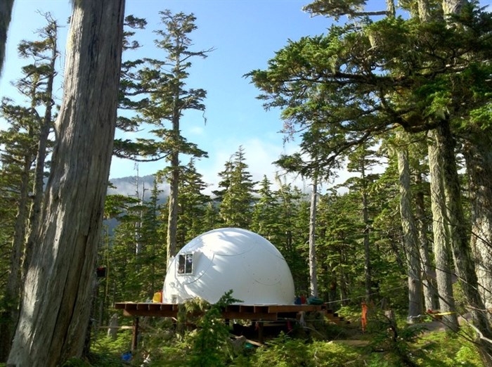 Geodesic domes are just one form of micro-housing in the co-ownership model.