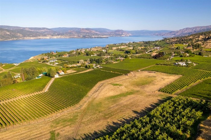This Naramata vineyard is for sale for $15 million.